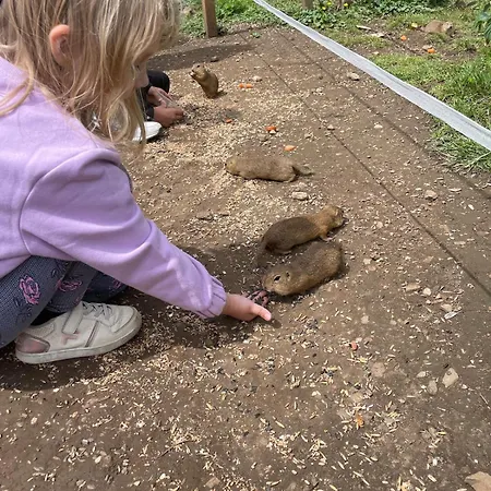 Horská chata Lea Ratkovske Bystre