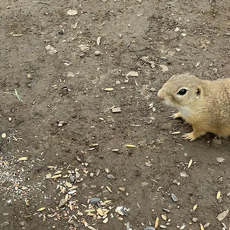 Lea Horská chata Ratkovske Bystre