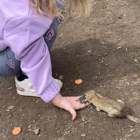 Horská chata Lea Ratkovske Bystre